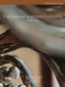 Fantasia On A Welsh Folksong
