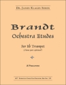 Orchestra Etudes