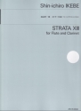 Strata XIII