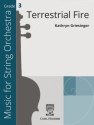 Terrestrial Fire