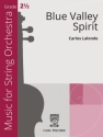 Blue Valley Spirit