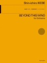 Beyond This Wind
