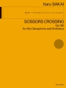 Scissors Crossing op. 190