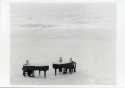 Fl�gel am Meer