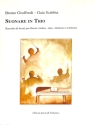 Suonare in trio