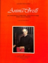 Anima bristi