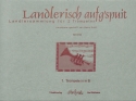 Landlerisch aufg'spuit