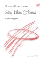 Sky blue flower
