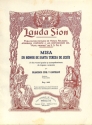 Misa en honor de santa teresa de Jesus
