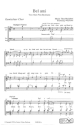 Bel ami (Du hast Gl�ck bei den Frau'n)