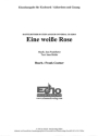 Eine weisse Rose