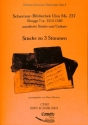Schermar Bibliothek Ulm MS 237