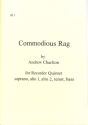 Commodious Rag