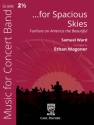 ...for Spacious Skies