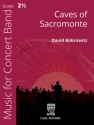Caves of Sacromonte