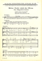 Magnificat meine Seele erhebt