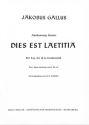Dies est laetitia