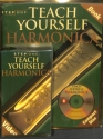 Step one - teach yourself harmonica