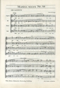 Rex pacificus 68