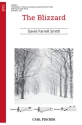 The Blizzard