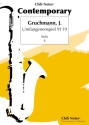 Umfangenenspiel 9119