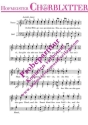 Die Minnes�nger op. 33/2 op. 33,2