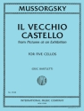Il Vecchio Castello