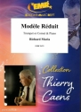 Mod�le R�duit