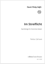 Im Streiflicht