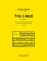 Trio c-Moll op. 23, 3