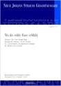 Das Spitzentuch der K�nigin - Wo die wilde Rose erbl�ht (Nr. 7)
