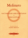 A Selection of Saltarellos and Fantasias for guitar