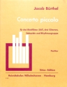 Concerto piccolo f�r 3 Bflockfl�ten (SAT), 3 Gitarren und Rhythmusgruppe Partitur und 9 Stimmen