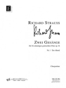 Der Abend op.34,1 f�r gem Chor a cappella Partitur (dt/en)
