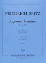 Zigeuner kommen op.16,4 f�r Violine und Klavier