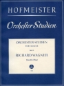 Orchesterstudien Violine Band 13