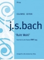 Ruht wohl BWV245 for cello and piano