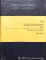 Trio op.8 f�r Violine, Viola und Violoncello Studienpartitur