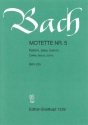 Komm, Jesu, komm BWV229 - Motette f�r gemischten Doppelchor (SATB/SATB) Partitur (dt/en)