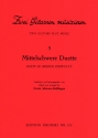 Zwei Gitarren musizieren Band 3  
