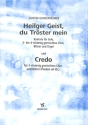 HEILGER GEIST DU TROESTER MEIN  UND  CREDO FUER GEM CHOR, BLAESER UND ORGEL
