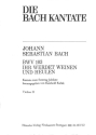 Ihr werdet weinen und heulen Kantate Nr.103 BWV103 Violine 2