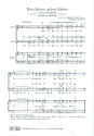 Mein kleiner, gr�ner Kaktus f�r M�nnerchor und Klavier Klavierpartitur