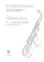 E STAREMO FRESCHI FUER Tenorsaxophon HILDEMANN, WOLFGANG,  ED