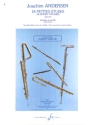 18 petites �tudes op.41 pour fl�te