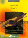 Terruno pour guitare solo