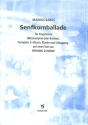 Senfkornballade f�r Gesang (mezzo), Trompete, E-Gitarre, Klavier und Schlagzeug,  Partitur zu Texten von Henning Schr�er