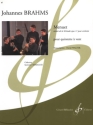 Menuet (extrait de la serenade op.11 pour orchestre pour flute, hautbois, clarinette, cor et bassoon partition et parties