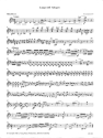 Largo und Allegro f�r Fl�te und Streicher Violine 2