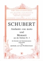 Andante con moto und Menuett f�r Streicher und Tasteninstrumente Partitur